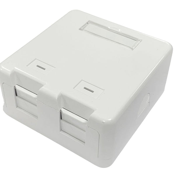 Lanview Surface mount box for 2 x