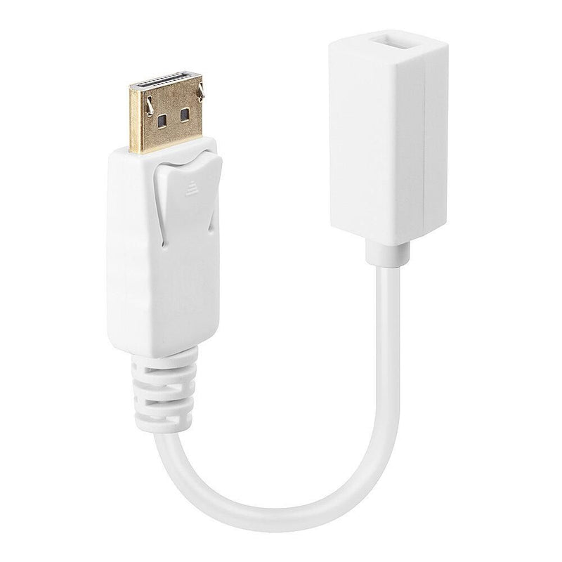 Lindy Displayport: Dp(M) /Mini-Dp(F)
