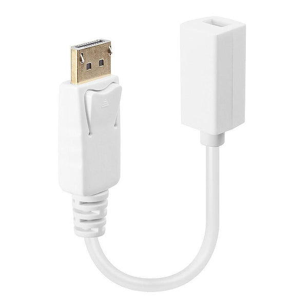 Lindy Displayport: Dp(M) /Mini-Dp(F)