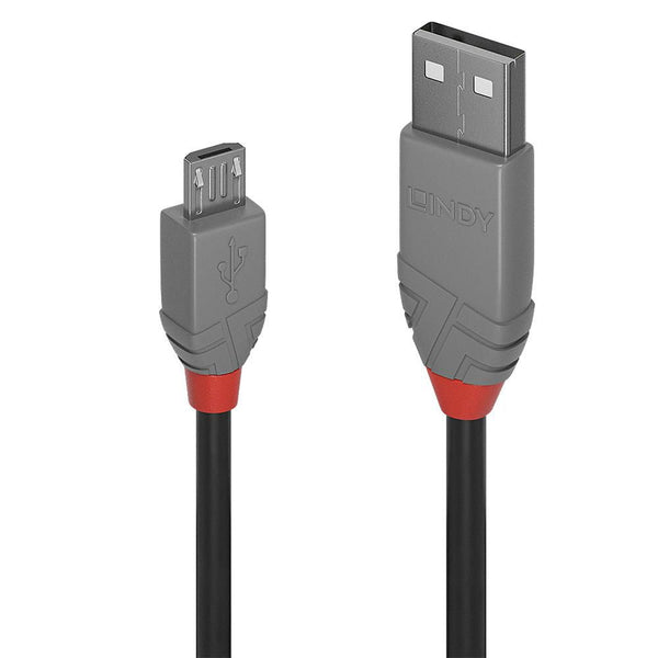 Lindy 0.2m USB 2.0 Type A to